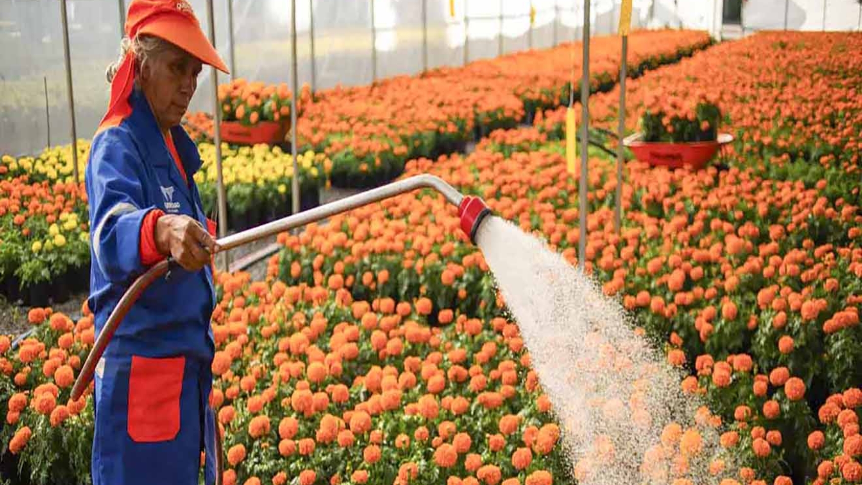 Sheinbaum publica reforma que reduce jornada laboral copia
