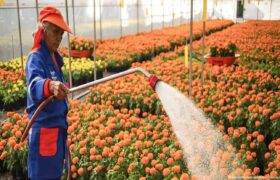 Sheinbaum promulga reforma que reduce la jornada laboral a 40 horas semanales