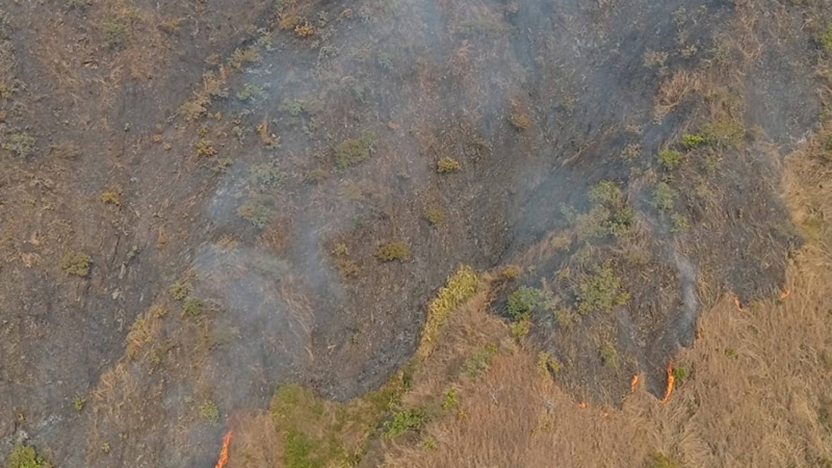 Sistema-de-Gestion-de-Riesgo-contiene-incendios-en-los.-1