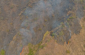 Sistema de Gestión de Riesgo contiene incendios en los parques nacionales Henri Pittier y Macarao