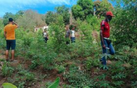 Productores de Sucre son atendidos por la Alianza Científico Campesina