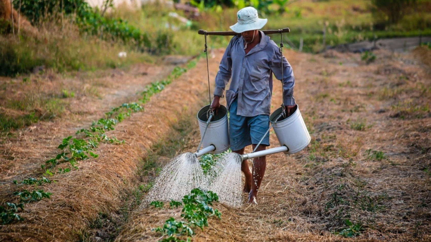 agricultura-guarico