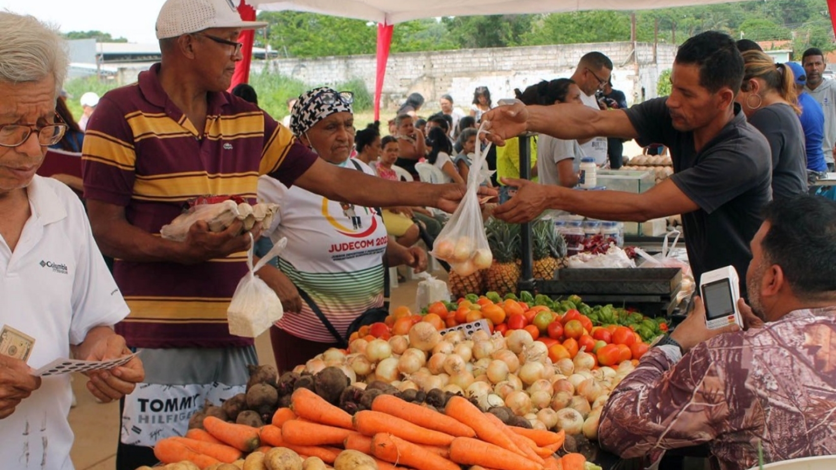 alimentos444