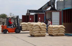 Exportan más de 240 toneladas de café verde a EEUU y China desde Lara