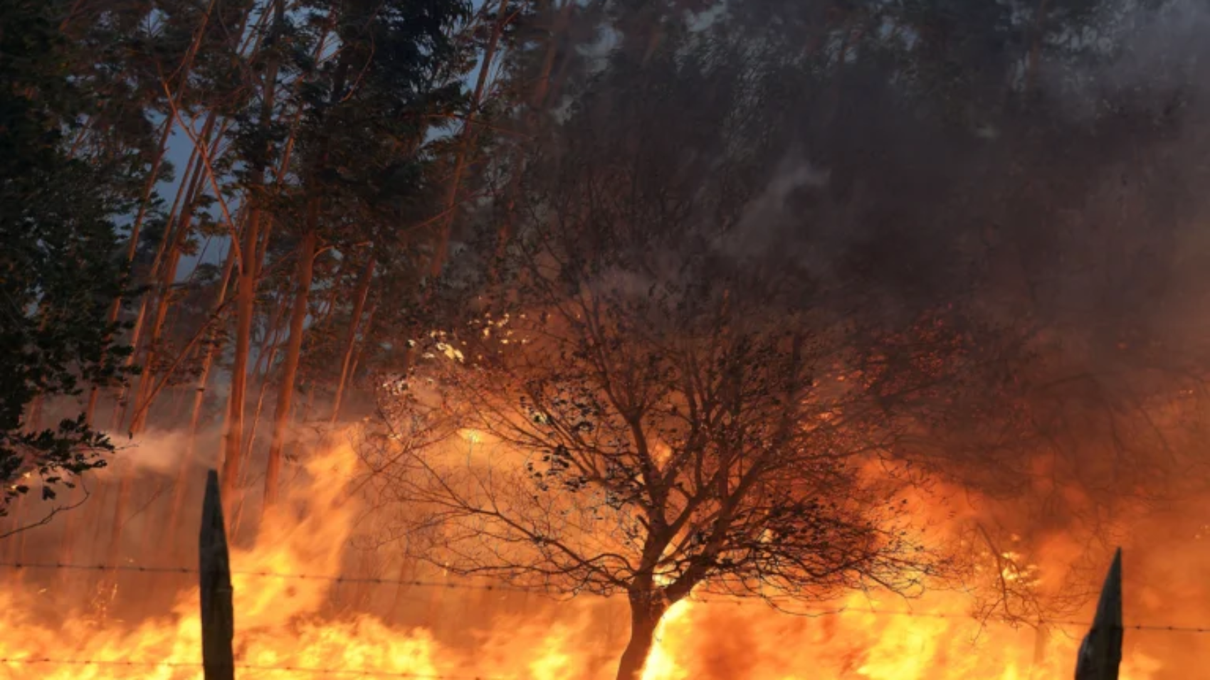 calor-extremo-768x513.jpg