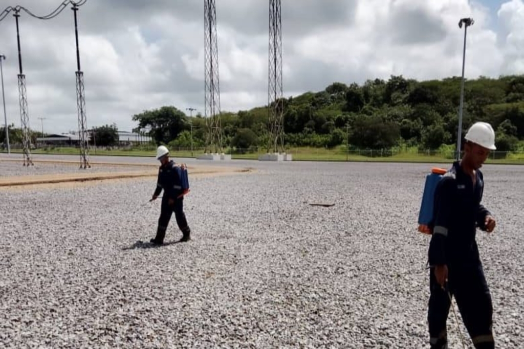 control de vegetación44