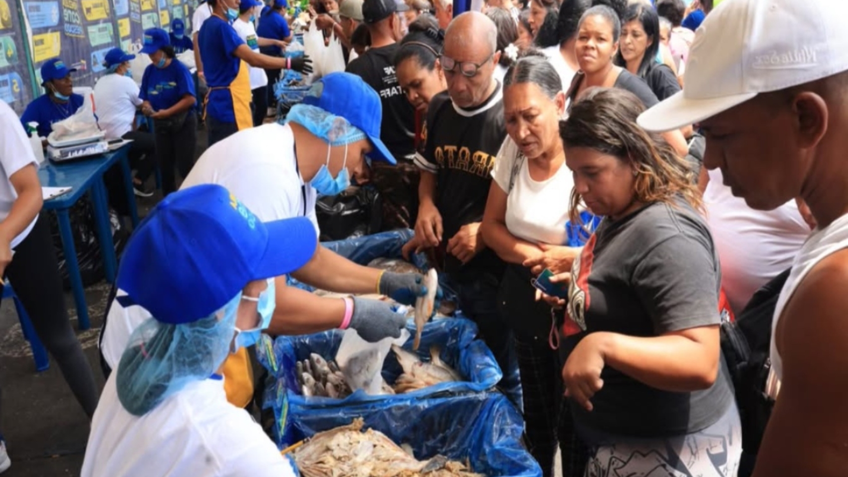 feria.del-pescado