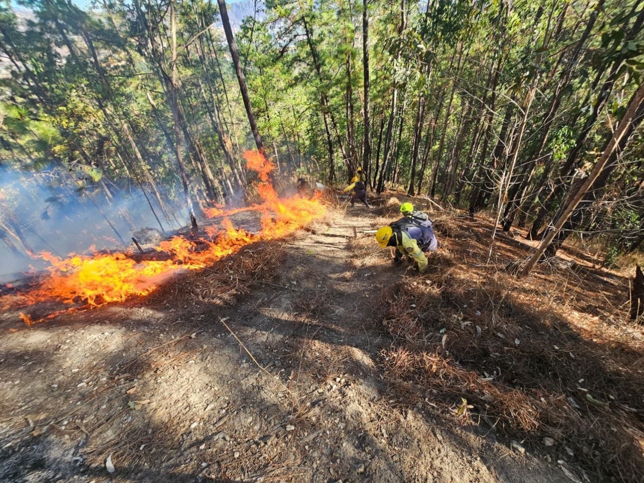 photo_2026-03-23_16-12-14