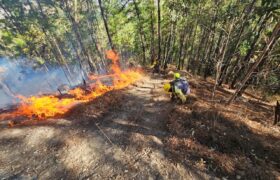 Atienden incendio forestal en las adyacencias del Embalse La Mariposa