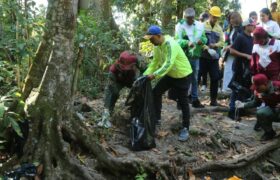 Sanean quebrada Chacaíto del Parque Nacional Waraira Repano