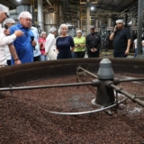 1776993041527334321xg