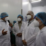 1777426288716334554xg