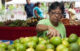 Soberanía alimentaria al 99,04% en los 100 días de gestión de la Presidenta (E) Delcy Rodríguez