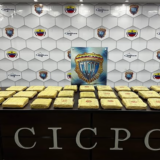 Cicpc incautó 29 envoltorios de marihuana en Lara