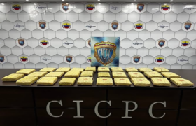 Cicpc incauta 29 envoltorios de presunta marihuana en operativo en Lara
