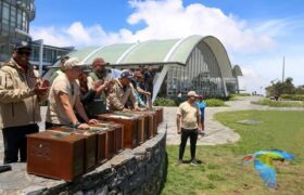 Minec: Vuelven a su hábitat 13 aves de la fauna silvestre