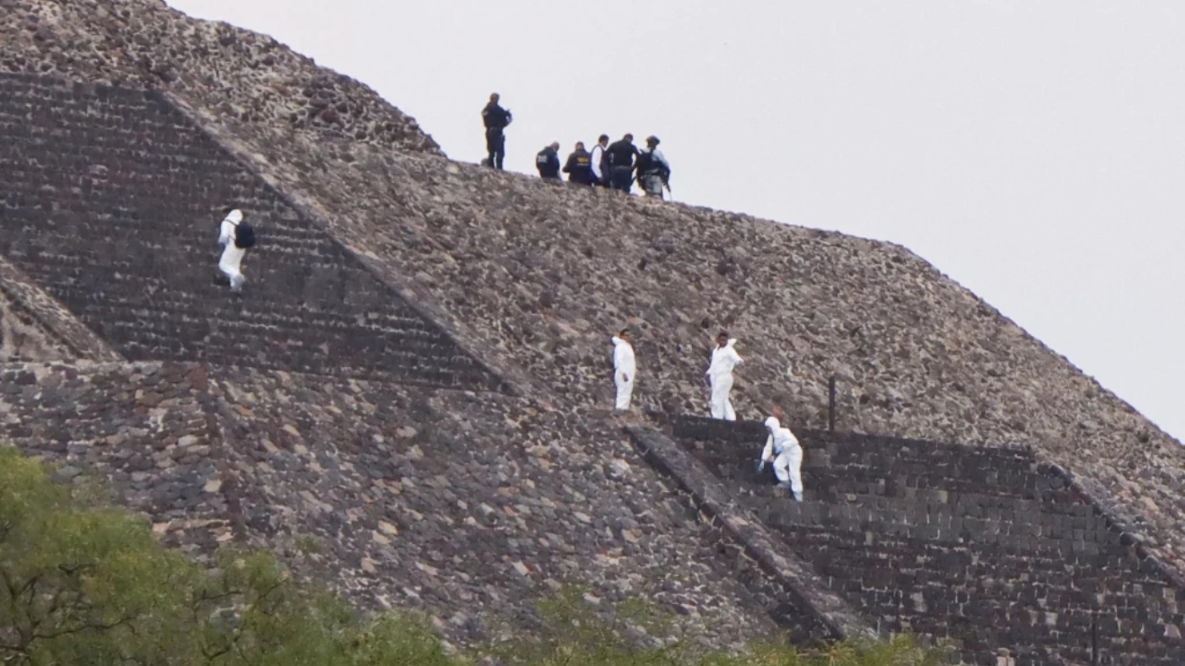 México (1)44