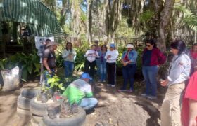 Misión Árbol capacita a 341 personas en agroforestería