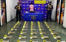 PNB incautó más de 47 kilos de drogas en tres estados