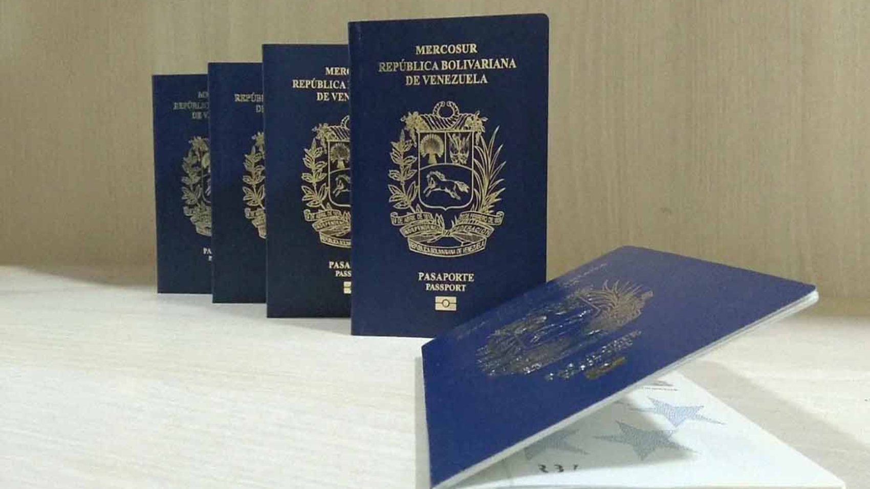 Pasaporte venezolano 2026 copia