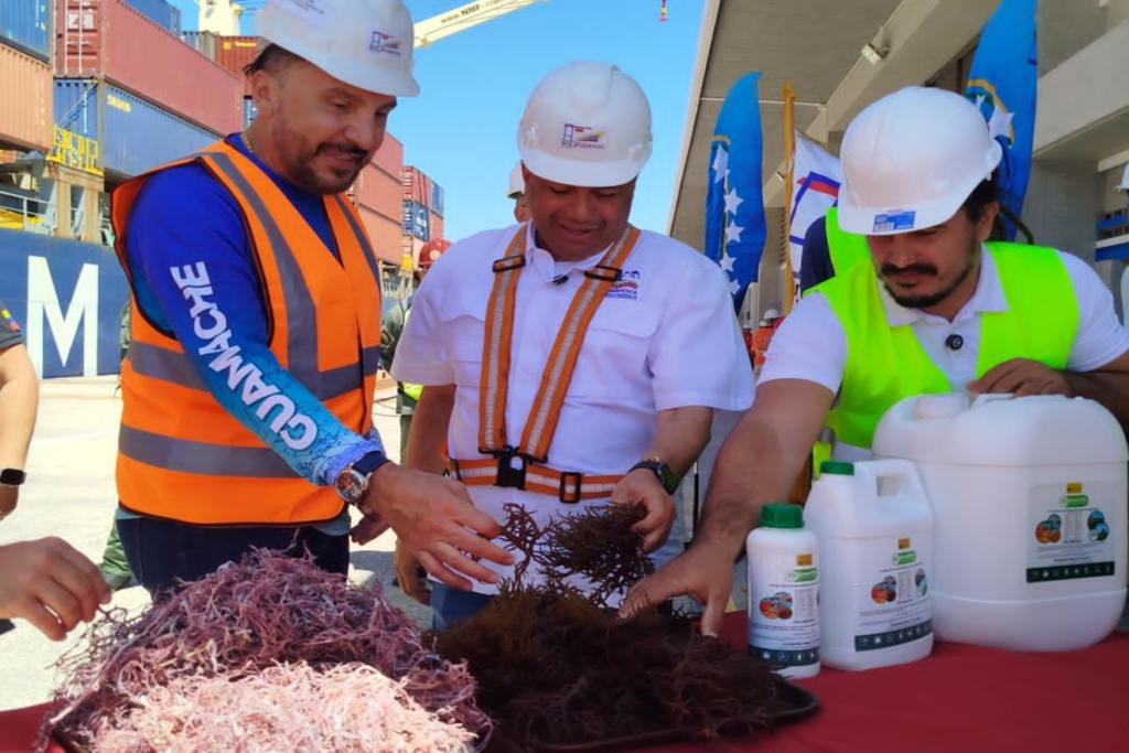 Venezuela-exportacion-algas-y-productos-marinos77