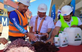 Nueva Esparta se consolida como epicentro de exportaciones en el Caribe