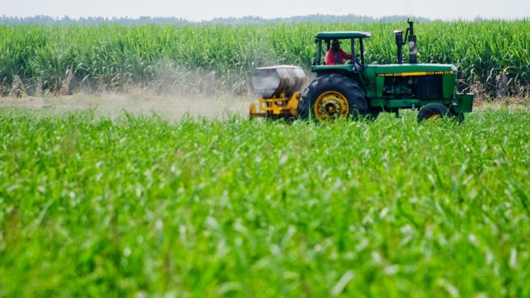 agroindustria1