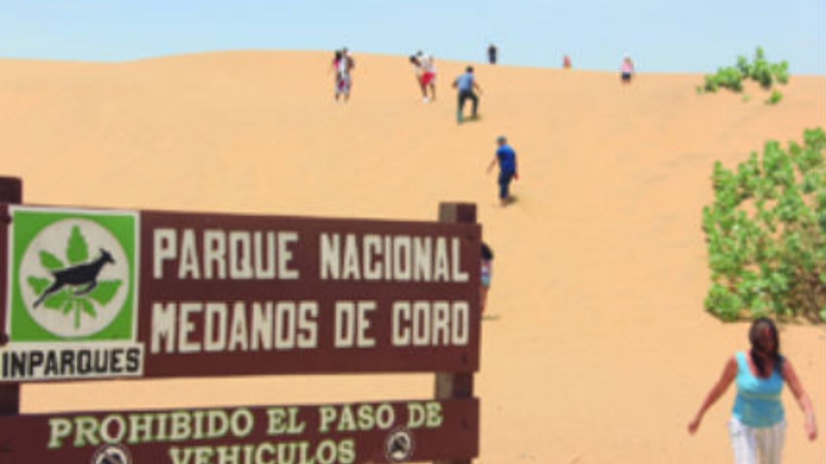 medanos-de-coro-un-paisaje-desertico408298