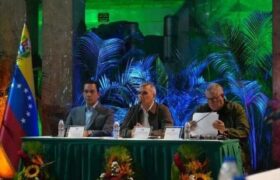 Padrino López: Me coloco en defensa de la producción nacional