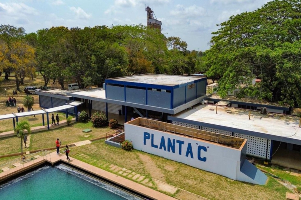 planta-c