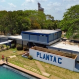 planta-c