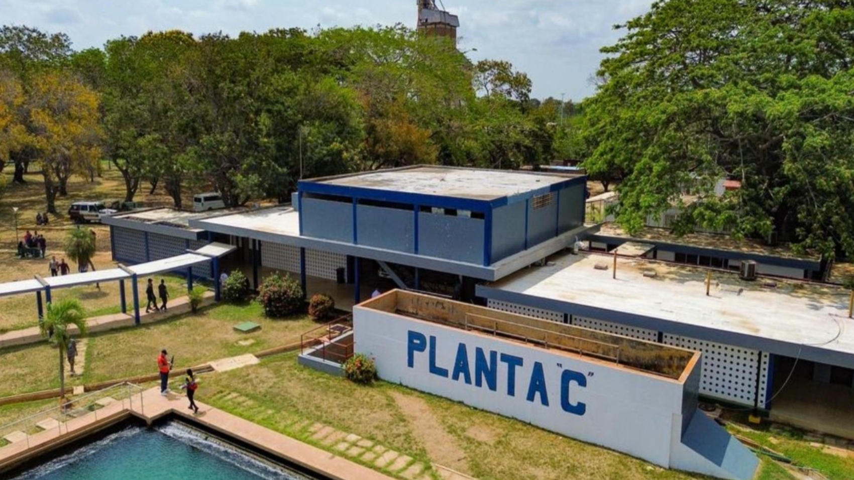 planta-c