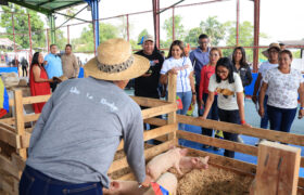 Gobierno Bolivariano impulsa la economía comunal desde el municipio Caroní