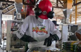 Planta de Cereales y Leguminosas «La Apureña» procesa 350 toneladas de alimentos
