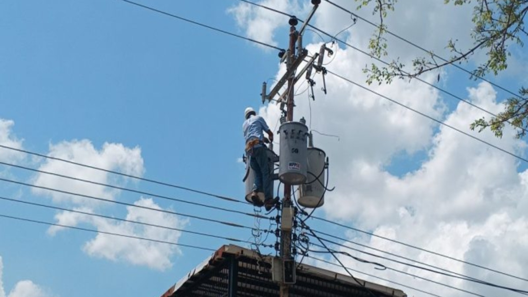 Apure corpoelec55