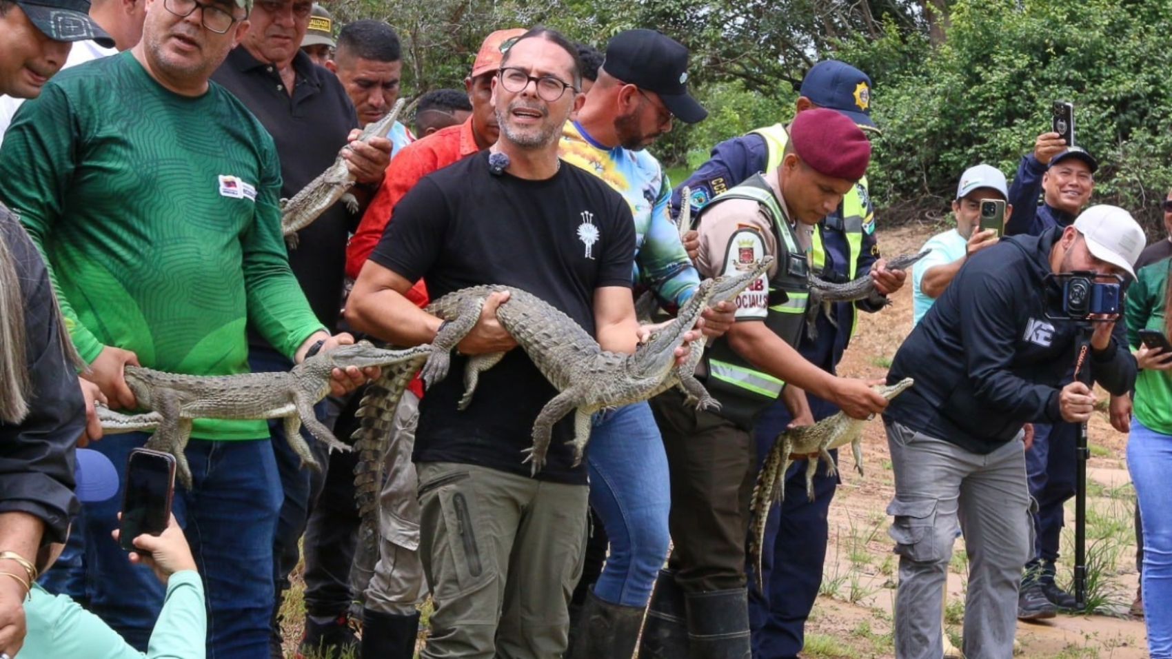 Caimanes liberados al orinoco44