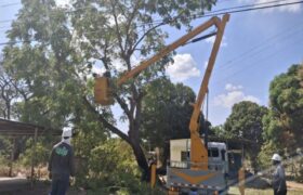 Aplican labores de control de vegetación en circuitos eléctricos de Apure