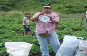 Ministra Gabriela Jiménez celebra éxito de investigación agroecológica en Falcón
