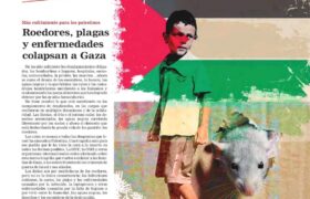 La Artillería N° 752