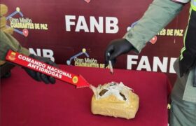 FANB incauta 38 envoltorios de droga tipo panela en el estado Sucre