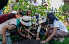 Arranca el Plan Nacional Chuquisaca para la restauración ecológica y climática de la Patria