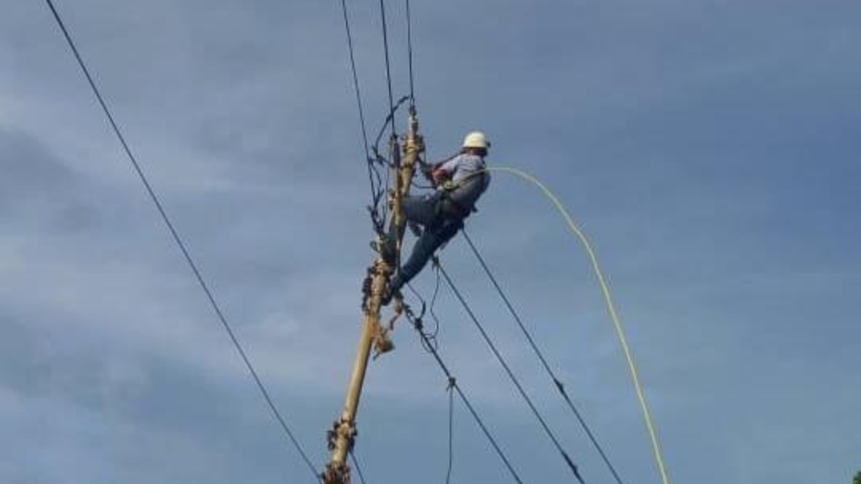 La guaira Corpoelec44