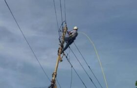 Mantenimiento correctivo en circuitos eléctricos favorece a más de 11 mil guaireños