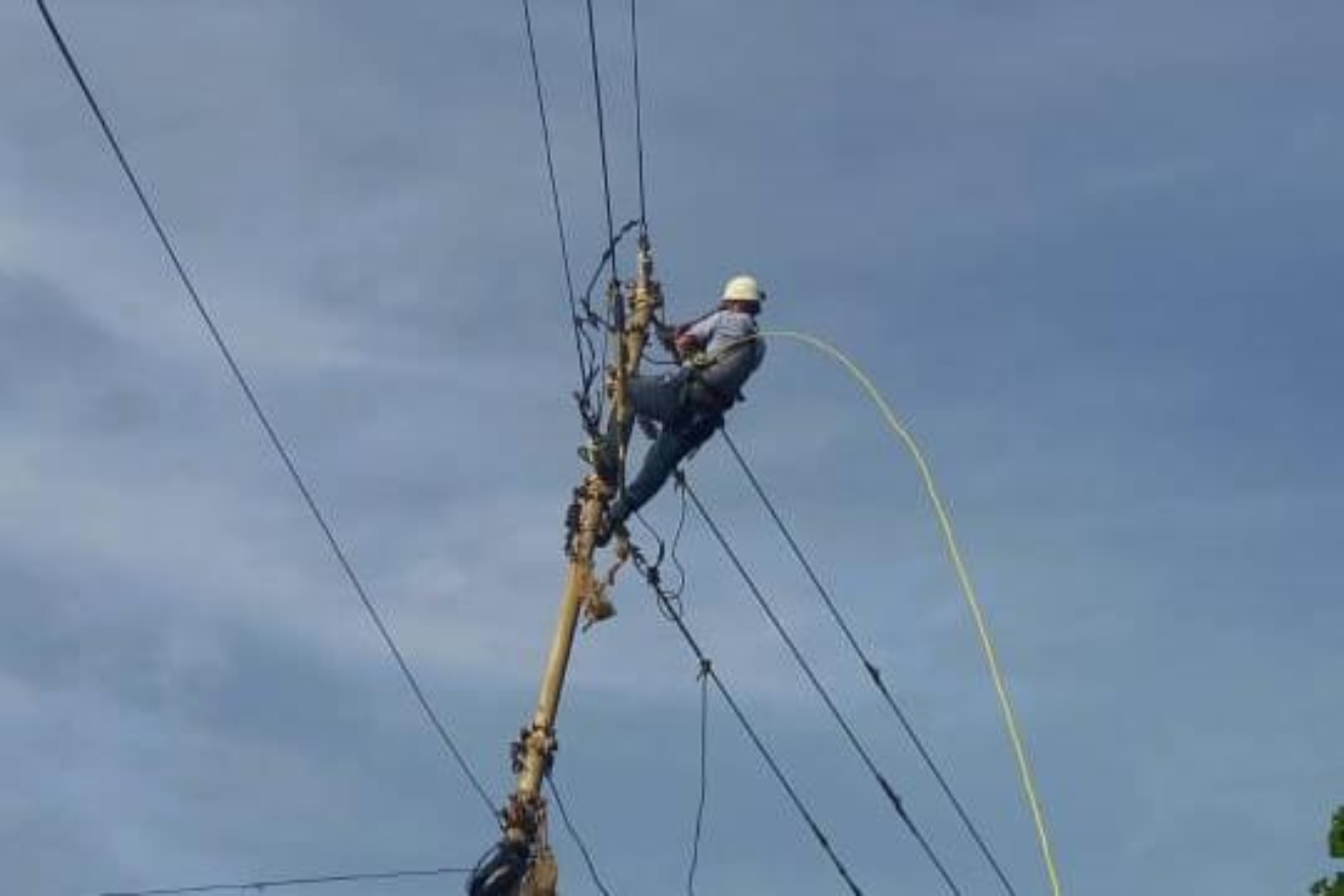 La guaira Corpoelec44