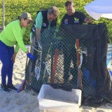 Más de 50 tortuguillos de la especie cardón nacen en Playa Parguito de Nueva Esparta copia