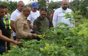 Minec activa Plan de Reforestación en El Tocuyo con la meta de plantar 400 mil árboles