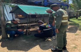 Minec Barinas retiene 45 ejemplares entre fauna silvestre y exótica