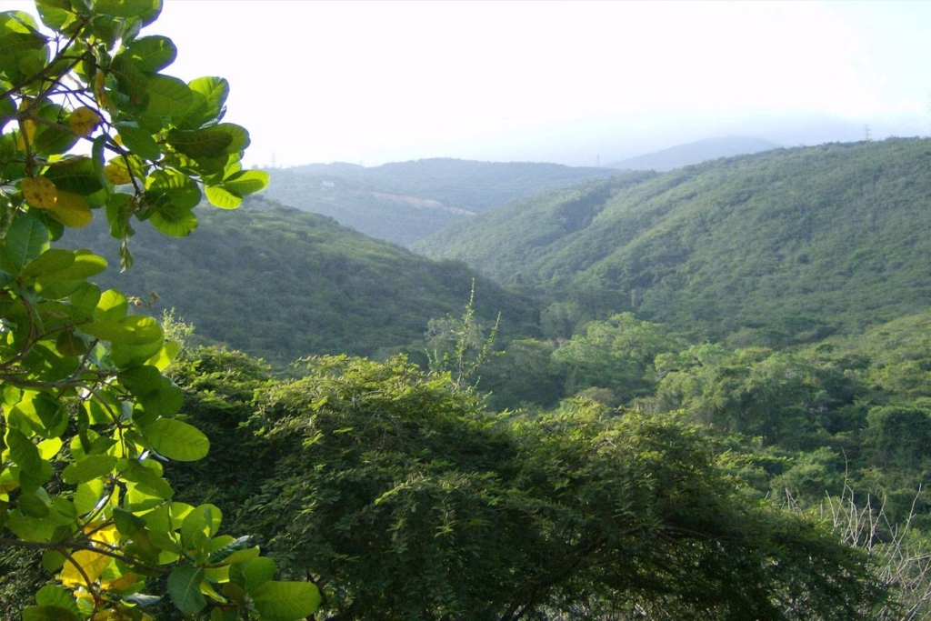 Ministro-Nanez-Ampliacion-del-Parque-Nacional-Terepaima-.2