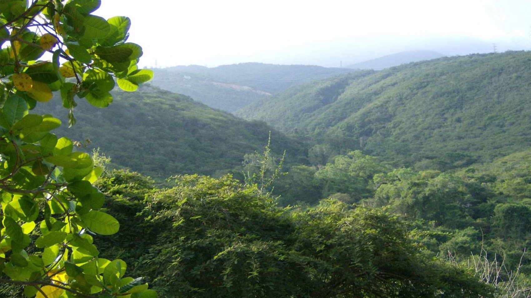 Ministro-Nanez-Ampliacion-del-Parque-Nacional-Terepaima-.2