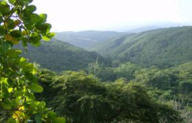 Ministro Náñez: Ampliación del Parque Nacional Terepaima responde a una aspiración histórica de los larenses